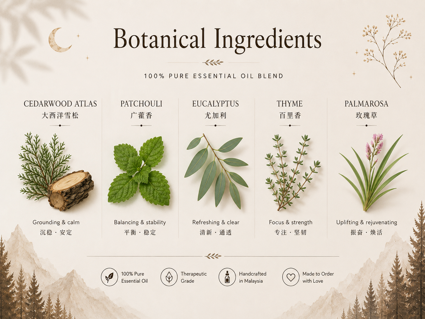 Botanical ingredients of RESET essential oil blend