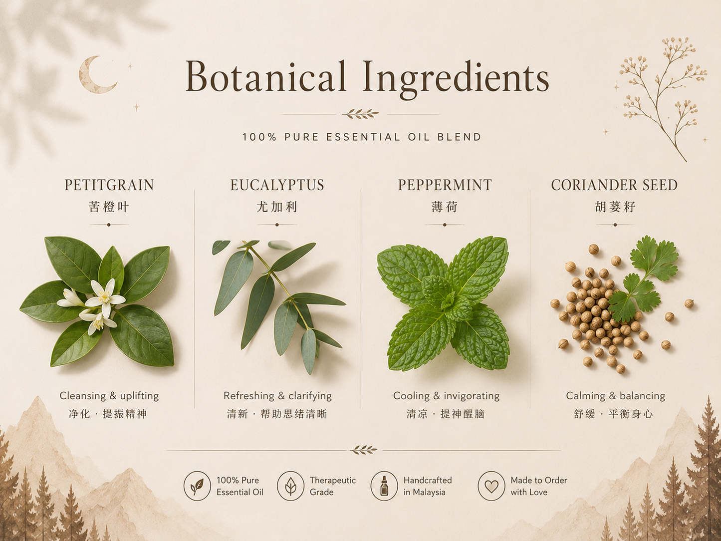Botanical ingredients of Forest Clarity including petitgrain, eucalyptus, peppermint and coriander seed