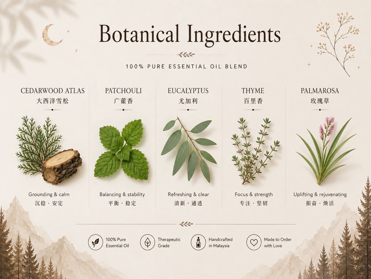 Botanical ingredients of RESET essential oil blend